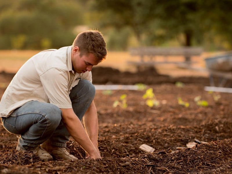 Landscaper planting new plants in a residential yard